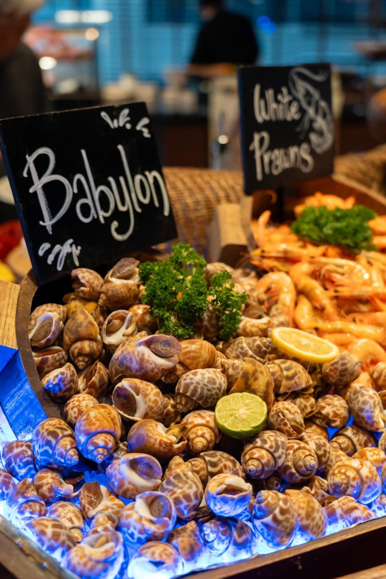 Four Points By Sheraton Ploenchit Sukhumvit , Phloen Chit Station Hotel Bangkok